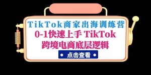 TikTok商家出海训练营:0-1快速上手 TikTok跨境电商底层逻辑-网课资源站