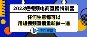 短视频电商直播特训营，任何生意都可以用短视频直播重新做一遍-网课资源站