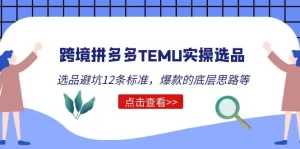 跨境拼多多TEMU实操选品运营方法,选品避坑12条标准,爆款的底层思路等-网课资源站