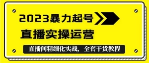 2023暴力起号+直播实操运营,全套直播间精细化实战,全套干货教程!-网课资源站