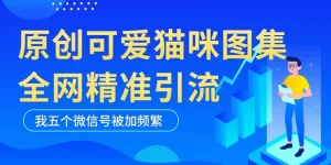 黑科技纯原创可爱猫咪图片,全网精准引流,实操5个VX号被加频繁-网课资源站