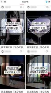 智能原创封面和创业文案,快手小红书引流精准创业粉,微信每天被加100+-网课资源站