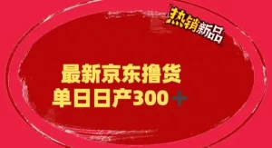 外面最高收费到3980 京东撸货项目 号称日产300+的项目(详细揭秘教程)-网课资源站
